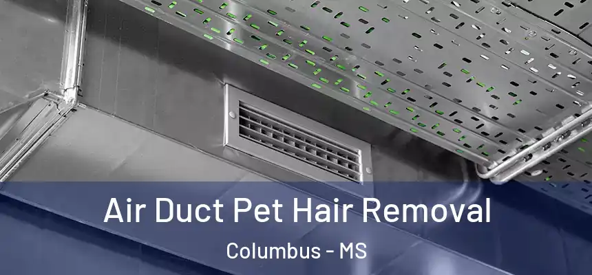 Air Duct Pet Hair Removal Columbus - MS