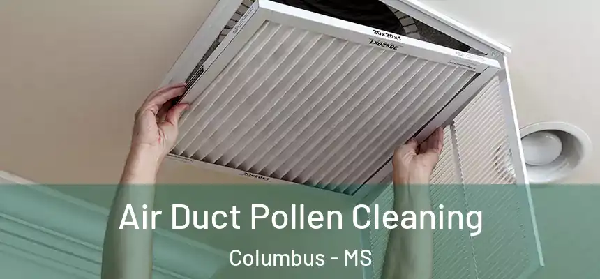 Air Duct Pollen Cleaning Columbus - MS