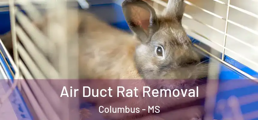 Air Duct Rat Removal Columbus - MS