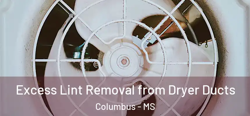 Excess Lint Removal from Dryer Ducts Columbus - MS