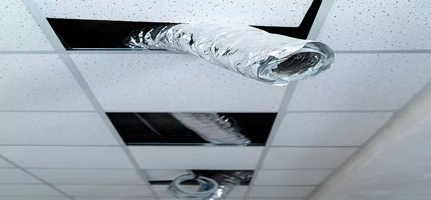 Our Air Duct Pet Hair Removal Services in Columbus, MS