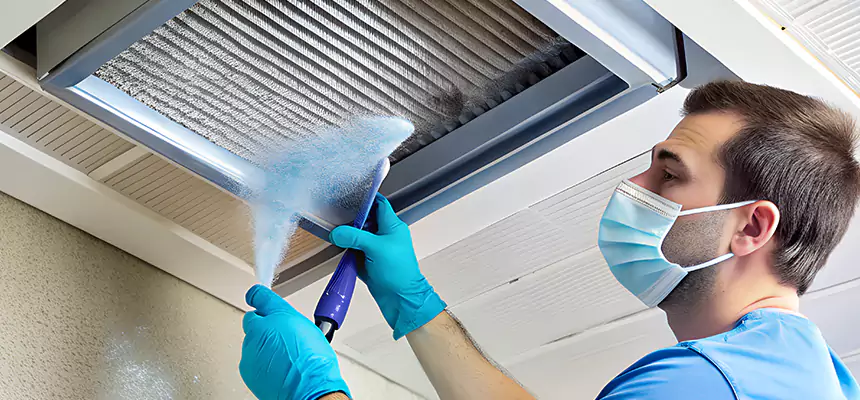 Proactive Dryer Vent & Auxiliary Duct Pollen Cleanup in Columbus, MS