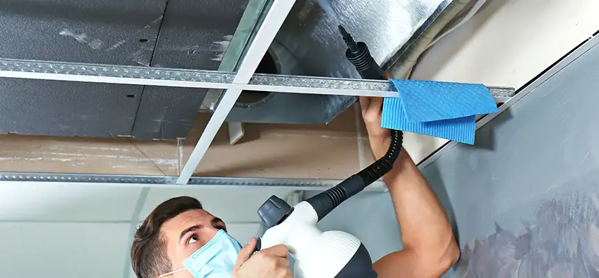 Our Air Duct Rodent Removal Services in Columbus, MS