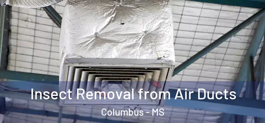  Insect Removal from Air Ducts Columbus - MS