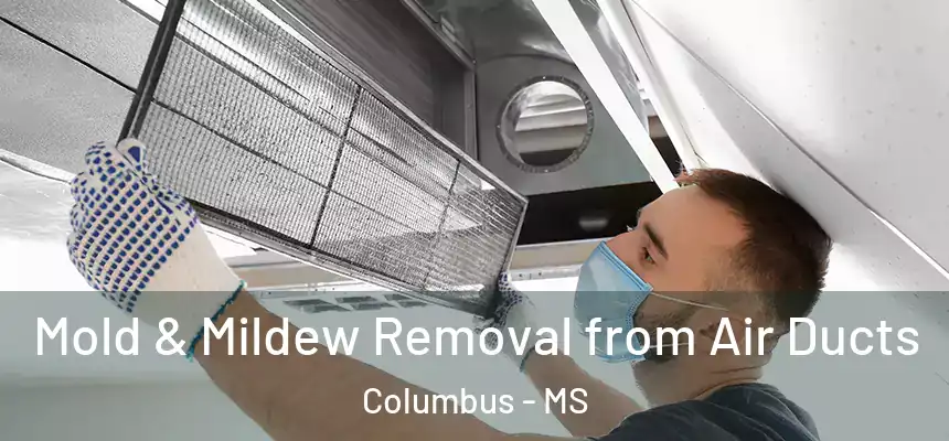  Mold & Mildew Removal from Air Ducts Columbus - MS