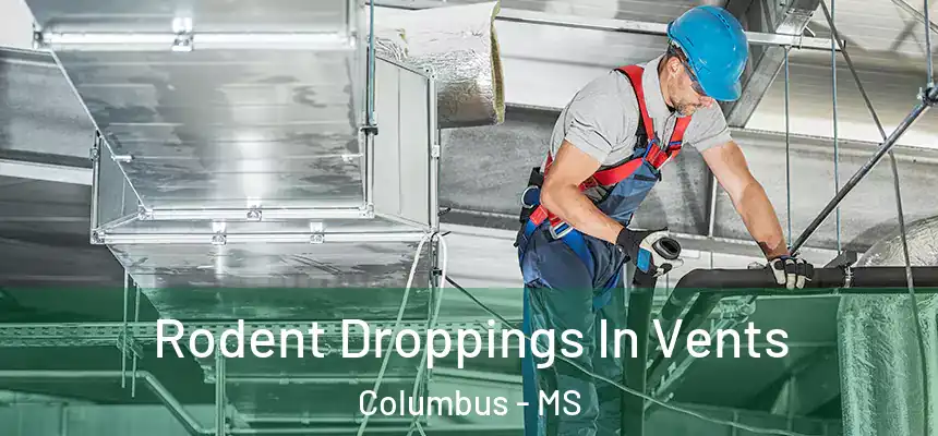Rodent Droppings In Vents Columbus - MS