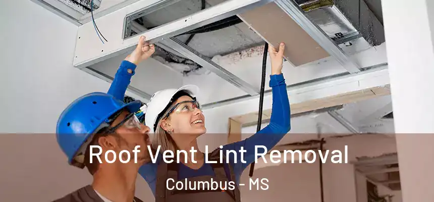 Roof Vent Lint Removal Columbus - MS