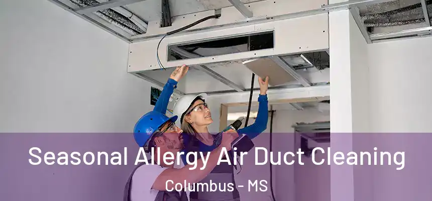Seasonal Allergy Air Duct Cleaning Columbus - MS
