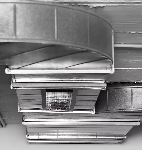 Professional Air Duct Pet Hair Removal in Columbus, MS