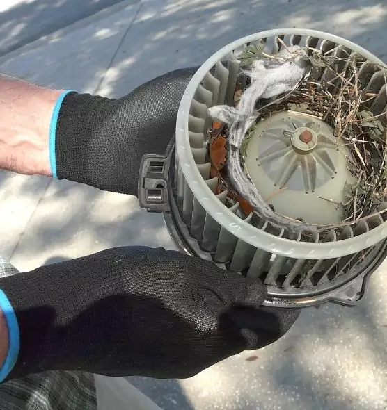 About Air Duct Rat Removal in Columbus, MS