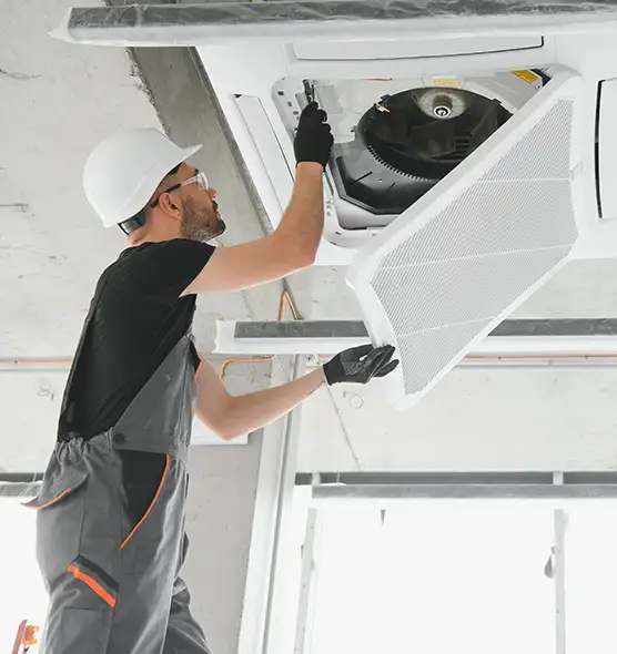 About Air Duct Rodent Removal in Columbus, MS