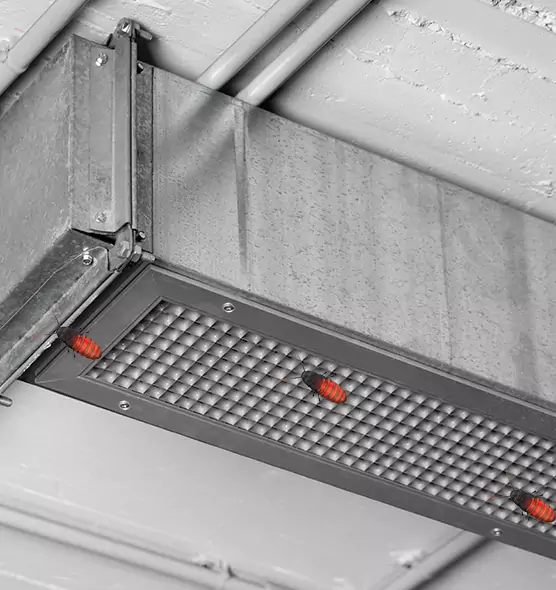 Affordable Insect Removal from Air Ducts in Columbus, MS