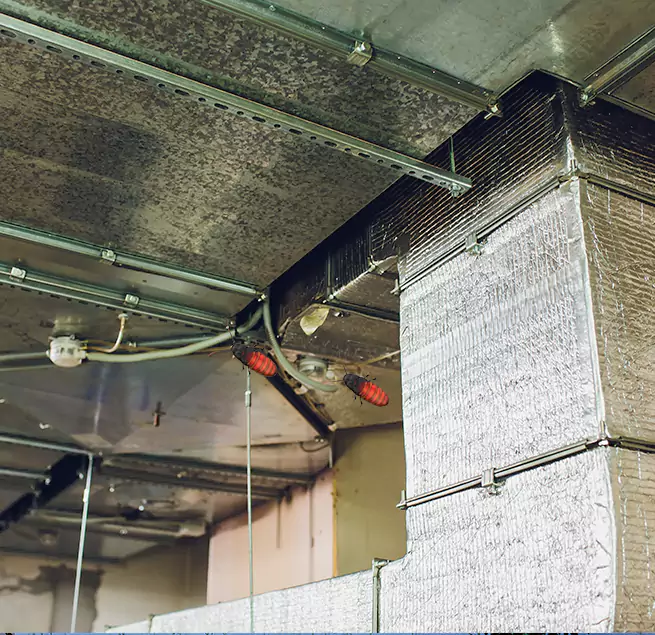 Why Homeowners & Businesses Trust Us in Columbus, MS?