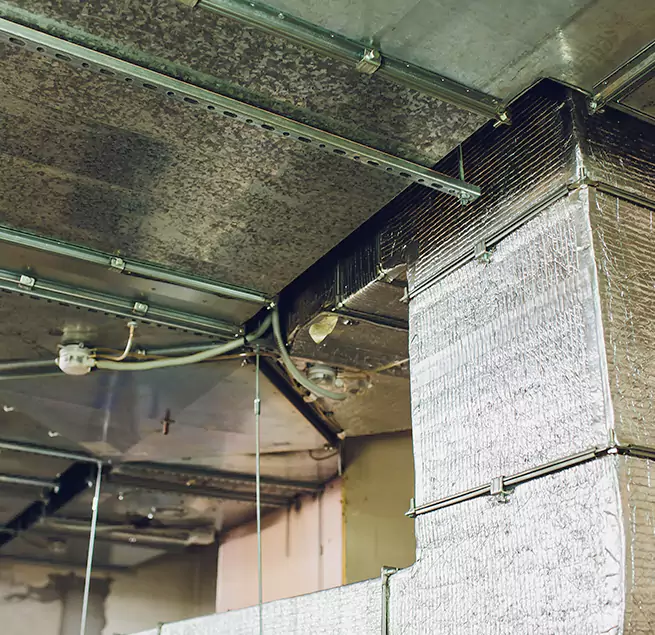 Why Homeowners & Businesses Trust Us in Columbus, MS?