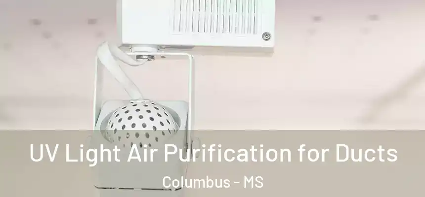  UV Light Air Purification for Ducts Columbus - MS
